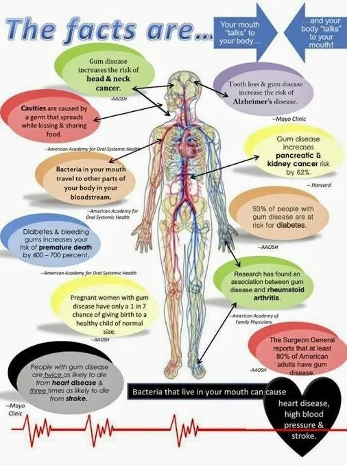 Oral system health link illustration